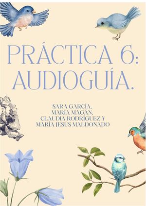 Práctica 6 Audioguía