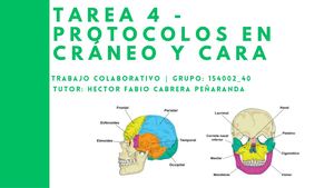 Fase 4 Imagenologia Convencional Grupo 40