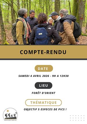 Compte-rendu 4 Avril 2026 Foret D'orient