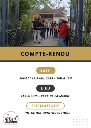 Compte-rendu du 18 Avril 2026 Les Riceys
