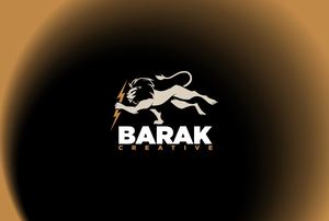 Brochure Barak™ 2026 Lt
