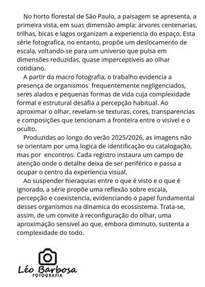 L4368608 Leonidio Miolo Prova