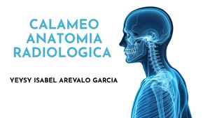 Proyecciones Adicionales