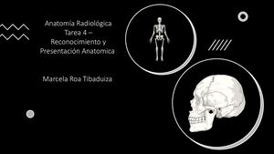 Anatomía Radiológica Tarea 4 –Craneo