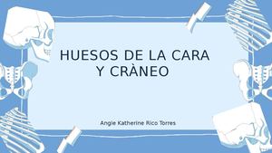 Huesos Cara Y Cràneo (1)