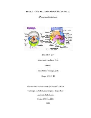 Calameo Anatomia Craneo Y Cara