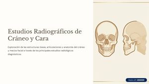 Estudios Radiograficos De Craneo Y Cara