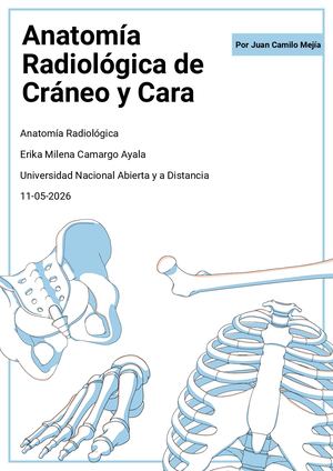 Anatomia Radiologica De Cráneo Y Cara