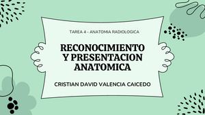 Reconocimiento Y Presentacion Anatomica