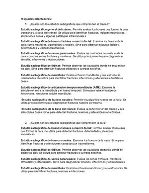 Preguntas Orientadoras Anatomia Radiologica