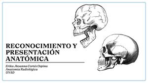 Anatomia Cráneo Y Cara