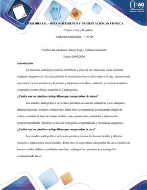 Libro Calameo Denyi
