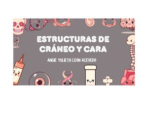 Estructuras de Cráneo y Cara