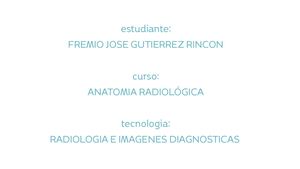 Diseño Sianatomia craneo cara