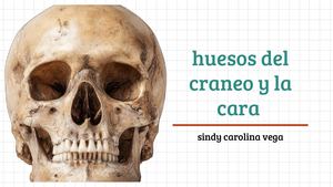 Presentación  estructuras anatómicas del cráneo y la cara.