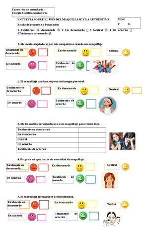 Encuesta Sobre El Uso Del Maquillaje Y La Autoestima1