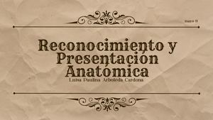Reconocimiento Y Presentación Anatómica