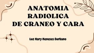 Anatomía cráneo y cara