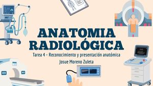 Tarea 4 - Reconocimiento y presentación anatómica