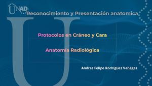 Protocolos En Cráneo Y Cara Anatomia Radiologica