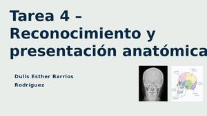 Tarea 4 – Reconocimiento Y Presentación Anatómica