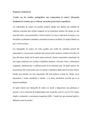 Foro Anexo 4 Preguntas Orientadoras