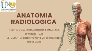 Anatomia Radiologica