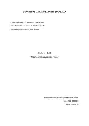 Resumen Presupuesto De Ventas