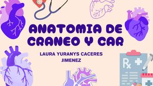 Anatomia De Craneo Y Car