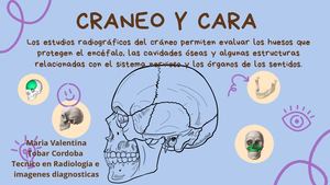 Craneo
