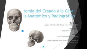 Anatomía Del Cráneo Y La Cara
