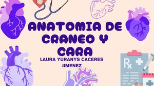 Anatomia De Craneo Y Cara