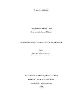 Protocolo De Proyecciones Basicas Para Rx