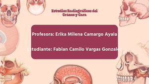 Calameo