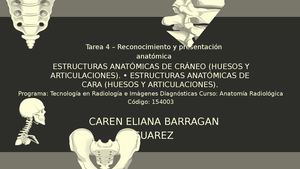 Presentación Anatomía Sistema ÓSeo Ilustrado Gris