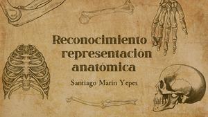 Reconocimiento y representación anatómica