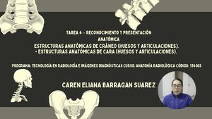 Presentación Anatomía Sistema ÓSeo Ilustrado Gris