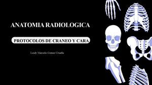 Anatomia Radiologica