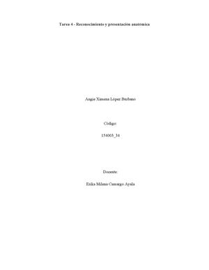 Tarea 4 Reconocimiento Y Presentación Anatómica 4