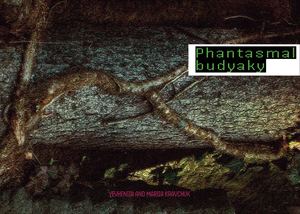 фотобук Compressed