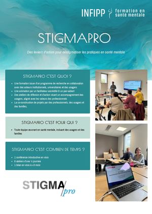 Stigma Pro Version Longue