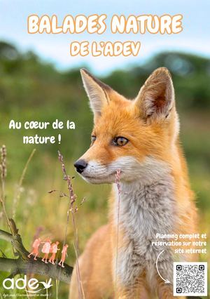 Balades Nature 2026