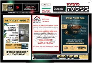 פרסוגת בשכונה 48