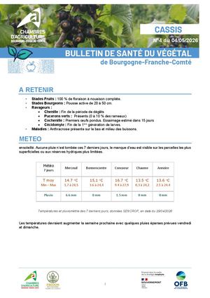 Bsv Cassis N 4 Du 04 05 2026