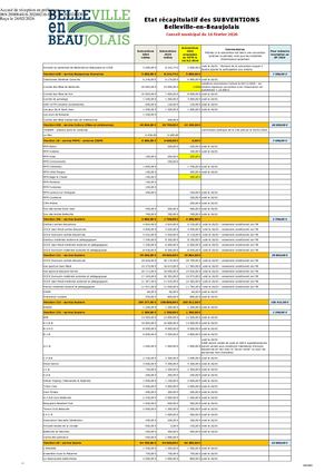 DEL 2026 024 PJ TPN 1 DEL 2026 024 Annexe SUBVENTIONS BEB 2026 Fév 2026 Pdf