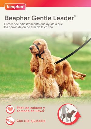 Gentle Leader