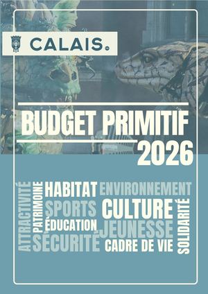 Budget primitif - 2026 - Fiche synthétique