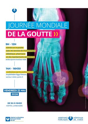 Affiche Journée Mondiale De La Goutte 2026 Vdef