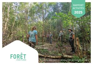Rapport d'activités 2025