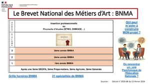 BNMA Brevet National des Métiers d'Art